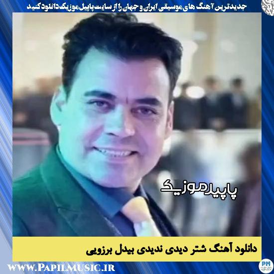 دانلود آهنگ شتر دیدی ندیدی از بیدل برزویی
